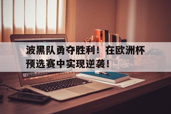 关于波黑队勇夺胜利！在欧洲杯预选赛中实现逆袭！的信息